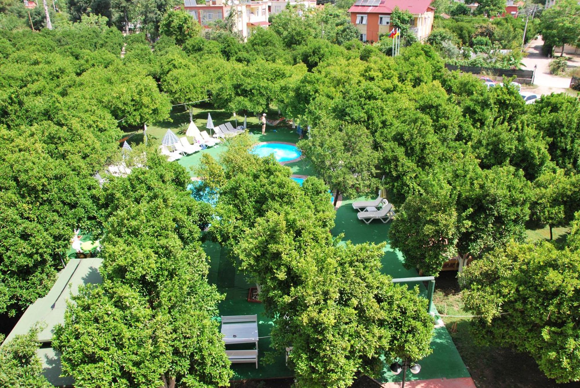 Castle Park Hotel ベルディビ エクステリア 写真