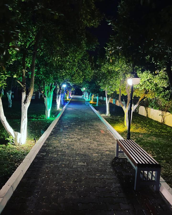 Castle Park Hotel ベルディビ エクステリア 写真